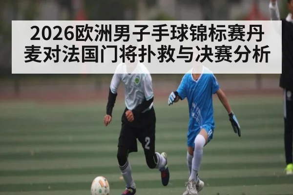 2026欧洲男子手球锦标赛丹麦对法国门将扑救与决赛分析（c7）